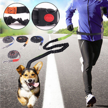 Pet leash Dog Leash Running Elasticity Hand Freely Pet Products Dog Harness Collar Jogging Lead and Adjustable Waist Rope 2024 - buy cheap