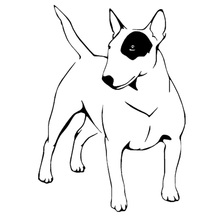 11.7*16.5CM English Bull Terrier Dog Vinyl Decal Endearing Car Stickers Car Styling Truck Decoration Black/Silver S1-1051 2024 - buy cheap