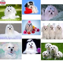 diamond painting 5d cross stitch Maltese Dog diy 3d diamond embroidery crystal beads mosaic full square drill rhinestone picture 2024 - buy cheap