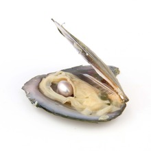 Perla Natural de perla cultivada en agua dulce, de 7-8mm, ovalada, 14 colores, regalos de cumpleaños DIY, empaquetada al vacío 2024 - compra barato