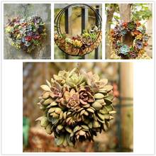 26cm MagiDeal Iron Wire Wreath Frame Succulent Pot Metal Hanging Planter Plant Holder-Home/Cafe/Wedding/Party Decor Geart Gift 2024 - buy cheap