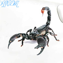 3D Автомобильная наклейка животные бампер паук геккон скорпионы для Renault Latitude Fluence Logan Sandero Sandeno Duster 2024 - купить недорого