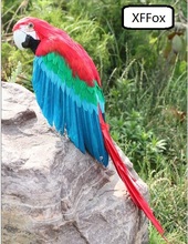 big real life colourful parrot model foam&feather simulation wings parrot bird gift about 50cm xf0153 2024 - buy cheap