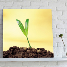 FREE SHIPPING Green Floral Wall Painting Photo on Canvas Oil Painting Art Prints(Unframed)50x50cm 2024 - buy cheap