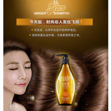 Ginger Hair Loss Products Soft Repair Improve Smooth Nourishing Moisturizing Oil Control Nourish Hair Shampoo Beauty Hair Care 2024 - buy cheap