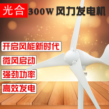 Turbina eólica pequeña para el hogar, 300w, 220V, 12V 2024 - compra barato