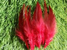 New! Red 50 pc quality pheasant feather, 4-6 "/ 10-15cm DIY decoration accessories, weddings, family 2024 - buy cheap