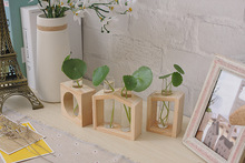 Vaso de madeira para plantas hidropônicas, vaso nórdico vintage, transparente, 1 peça, para mesa, de vidro, para decoração de bonsai, jl 223 2024 - compre barato