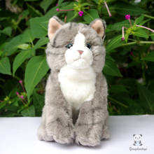 Plush Cat Doll Toy  Girl  Gray  Cats  Toys  Children  Birthday Gift Toy Shops 2024 - buy cheap
