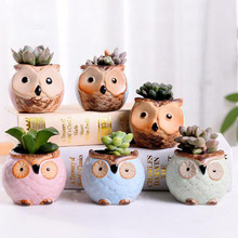 New Succulent Plants Ceramic Flowerpot Owl Flower Pot Creative Mini Bonsai Pot Garden Pots Planters Home Garden 2024 - buy cheap