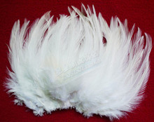 100 unids/lote pluma de gallo blanco 4-6 pulgadas (10-15 cm) ropa joyería sombrero Navidad vacaciones pluma decorativa 2024 - compra barato