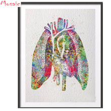 DIY Diamond Painting Watercolor Human Heart Lungs Anatomy Embroidery Diamonds Mosaic 5D Full Square Rhinestones Cross Stitch art 2024 - buy cheap