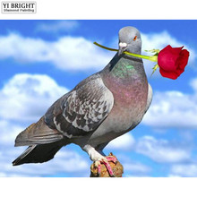 Full Square/Round Drill 5D DIY Diamond Painting"Courtship pigeon"3D Embroidery Cross Stitch Mosaic Rhinestone Decor Gift JCC 2024 - buy cheap