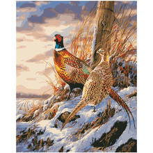 Painting By Numbers DIY Dropshipping 40x50 50x65cm Beautiful wild pheasant Animal Canvas Wedding Decoration Art picture Gift 2024 - buy cheap