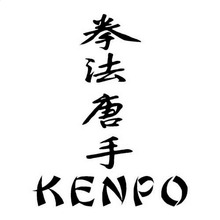 12.1*15.9CM KENPO Kanji Japanese Character Car Styling Body Decal Stickers Accessories Black/Silver C9-0678 2024 - buy cheap