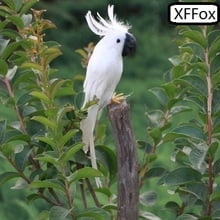 cute real life white parrot model foam&feather Cockatoo bird gift about 32cm xf0101 2024 - buy cheap