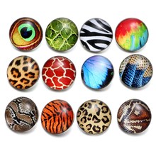 12pcs/Lot Animal Skin Pattern Glass Charm 18mm Snap Button Jewelry For 18mm Snaps Bracelet Snap Jewelry KZ0513 2024 - compra barato