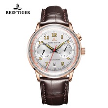 Reef Tiger/RT Luxury Brand Vintage Watch Men Rose Gold Brown Leather Strap Luminous Automatic Mechanical Watches RGA9122 2024 - buy cheap