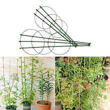 Trepadeira 1 Pc Durável Criativo Cremalheira 45 cm/60 cm Estrutura de Suporte Da Planta Jardim Varanda de Ferro Revestido de Plástico planta Flor Trellis 2024 - compre barato