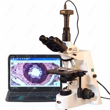 Microscopio compuesto de investigación, suministros de AmScope, 40X-2500X, infinito, con cámara Digital USB de 5MP 2024 - compra barato