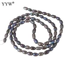 YYW Fashion Loose Pearl Beads DIY Necklace Bracelat Jewelry Making 2-3mm Rice Shape Natural Purple Freshwater Pearl Loose Beads 2024 - buy cheap