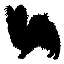 9.9*9.5CM Papillon Dog Vinyl Decal Silhouette Reflective Car Stickers Car Styling Accessories Black/Silver S1-0368 2024 - buy cheap