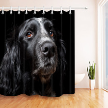 Cortina de ducha de tela impermeable para baño, conjunto de accesorios de ducha de poliéster con 12 ganchos, retrato de perro negro grande aislado oscuro, 72 pulgadas 2024 - compra barato