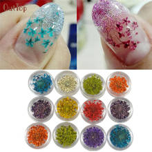 OutTop 12 Colors 3D Decoration Real Dry Dried Flower For UV Gel Acrylic Nail Art Tips Fashion Design Nail Decoration Pretty 2024 - buy cheap