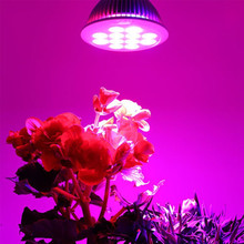[DBF]Full Spectrum LED Grow Light 15W Plant Lamp Led Bulb for Plants Aquarium Flowers Seeds Garden Vegetables Greenhouse E27 2024 - buy cheap