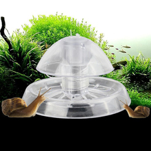 Clear Snail Trap Aquarium Fish Tank Plants Planarian Leech Catch Environment Fish Tank Clean Device Snail Trap 2024 - buy cheap