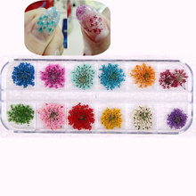 Adesivos de decoração para unhas com pétalas de flor seca, decorações 3d para unhas de gel uv, ferramentas de manicure e beleza com 12 cores 2024 - compre barato