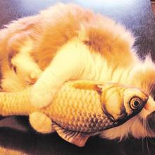 Artificial Fish Plush Pet Cat Puppy Dog Toys Sleeping Cushion Fun Toy Cat Mint Catnip Toys Gadget Jouet 2024 - buy cheap