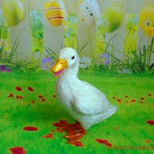 Simulation white duck polyethylene&furs duck model funny gift about 14cmx19cmx28cm 2024 - buy cheap