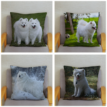 Funda de cojín de felpa para decoración del hogar, cubierta bonita de Siberia Samoyed para almohada de coche, sofá, mascota, perro blanco, 45x45cm 2024 - compra barato