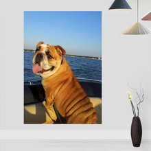 Póster de Bulldog inglés personalizado, imágenes de pared para sala de estar, arte moderno, decoración de pared del hogar, 20x30cm,27x40cm 2024 - compra barato