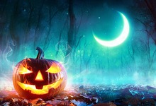 Halloween backdrop Strange Pumpkin Lantern Forest Fallen Leaves Photography Backdrops for Photo Studio Photo Shoot Vinyl Cloth 2024 - buy cheap