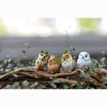 4pcs Miniatures Owls Figurine Bonsai Mini World Eco Bottle Animal Figurines Resin Home Fairy Garden Ornament Decoration C. 2024 - buy cheap