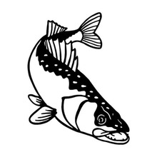 11.6*15.2CM Walleye Fishing Personalized Car Stickers Decals Motorcycle Accessories Black Silver C2-0567 2024 - buy cheap