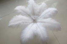 wholesale 50pcs / lot high quality white ostrich feathers 10-12 inches / 25 to 30 centimeters celebration stage decoration 2024 - buy cheap