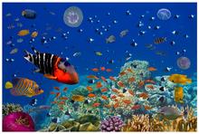 Papel tapiz fotográfico personalizado para paredes, mural de papel tapiz 3 d para acuario de mundo submarino de biología marina, ajuste de TV 2024 - compra barato