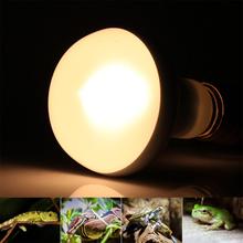 E27 лампы отопления тепловая лампа питомца курицы рептилия лампа mphibies вольфрамовые лампы накаливания 60 Вт 75 Вт 100 Вт 220-240 В 2024 - купить недорого