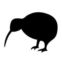 Pegatinas y calcomanías de dibujos animados de aves y KIWI de Nueva Zelanda, 10x7,5 CM, estilo de coche y motocicleta, negro/plata, C2-0165 2024 - compra barato