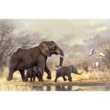 new Full Square/Round Drill 5D DIY Diamond Painting "Animal elephant" Embroidery Cross Stitch 5D Home Decor Gift ll078 2024 - buy cheap