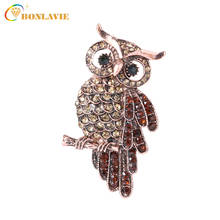 Vintage Owl Brooch Corsage Scarf Clip Crystal Parrots Brooches *Lapel Pin Broches Jewelry Women Lady Sweater Hats Buckles 2024 - buy cheap