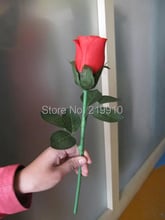 Rosa de floración automática, truco de magia/magia, envío gratis 2024 - compra barato