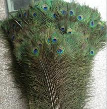 200pcs 10"-12" Feather Peacock Tails Tail Feathers Fan For Sewing Apparel Wedding Party Home Decoration 2024 - buy cheap