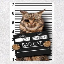 Fashion clothes printed patch deal with it wanted BAD CAT pattern Heat transfer printing Iron on patches for clothing Diy design 2024 - buy cheap