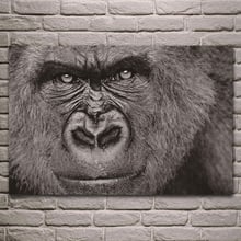 Bien gorila negro retrato de la cara de los animales arte tela posters de pared foto arte de casa habitación decoración EX489 2024 - compra barato