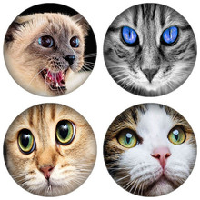 ZDYING 5pcs/lot Cute Cat Eyes Glass Cabochon Animal Cat Face Image Glass Dome Beads Jewelry Findings DIY Gift Wholesale 2024 - buy cheap