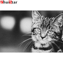 5d алмазная картина стежка черно-белая кошка daimond картина полностью квадратная мозаика Стразы картины Вышивка WHH 2024 - купить недорого